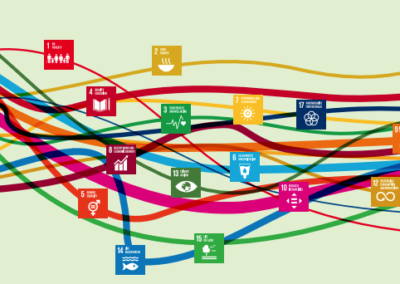 Realising the Transformative Potential of the SDGs