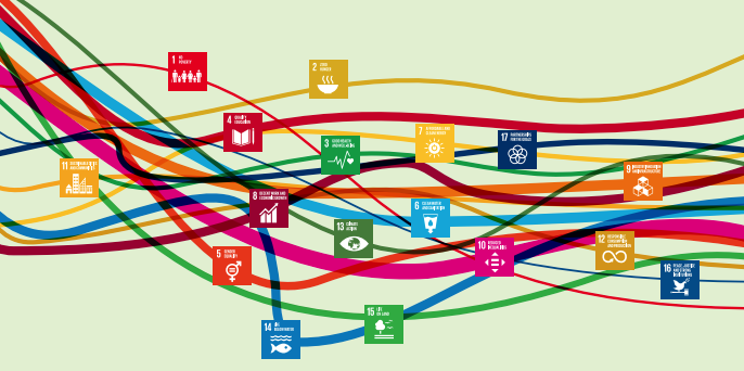 Realising the Transformative Potential of the SDGs