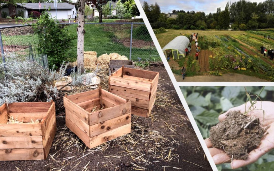 Soil Health Workshop for School Gardens