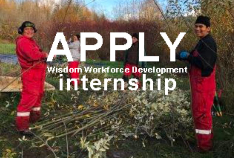 Wisdom Workforce Development Internships