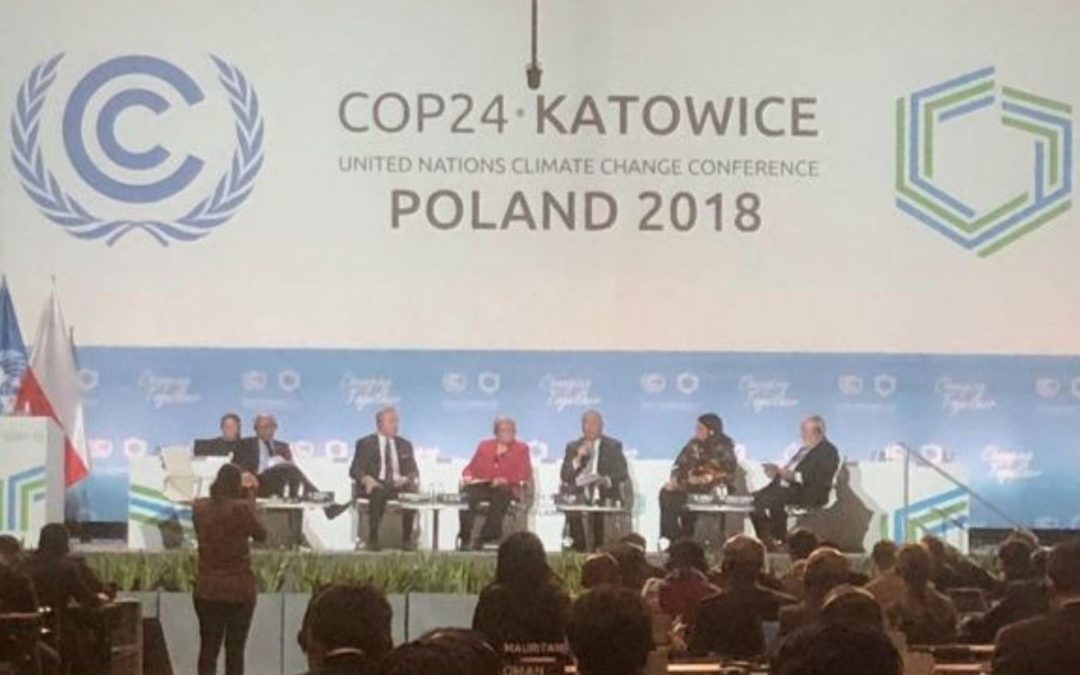 Global Warming: What can we learn from the COP24 meeting?