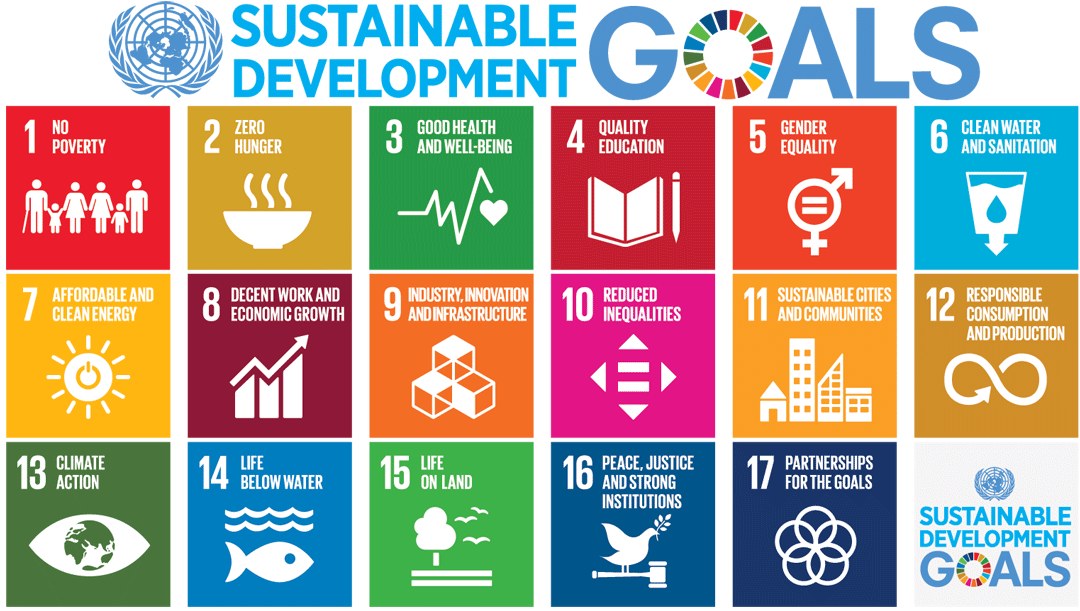 Everyday for Everyone: Sustainable Development Goals Workshop with Neeraja Havaligi