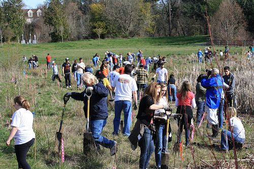 GPSEN native tree planting with Friends of Trees!