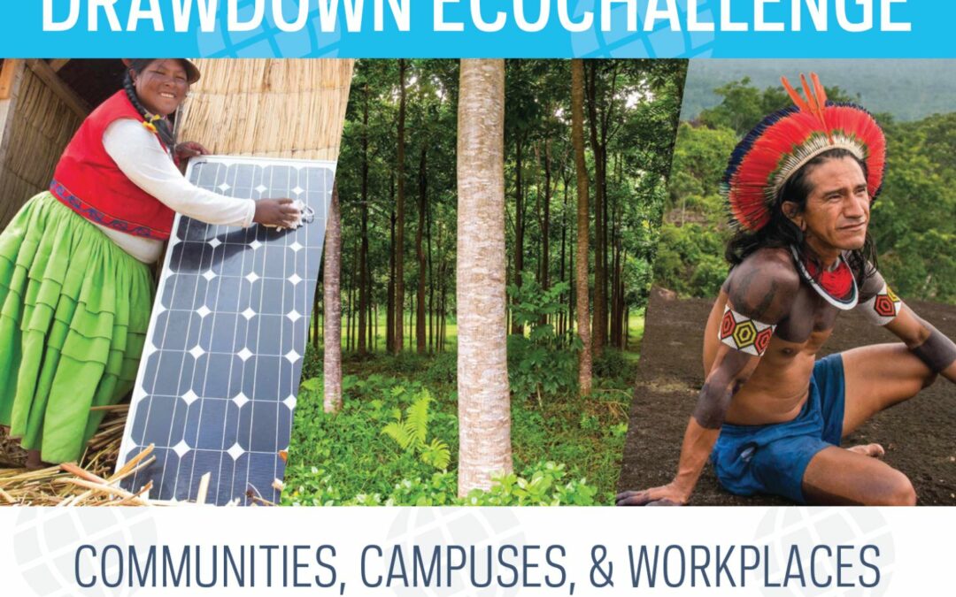 Drawdown EcoChallenge