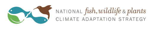 Climate Adaptation Leadership Awards