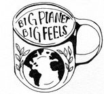 Big Planet, Big Feels