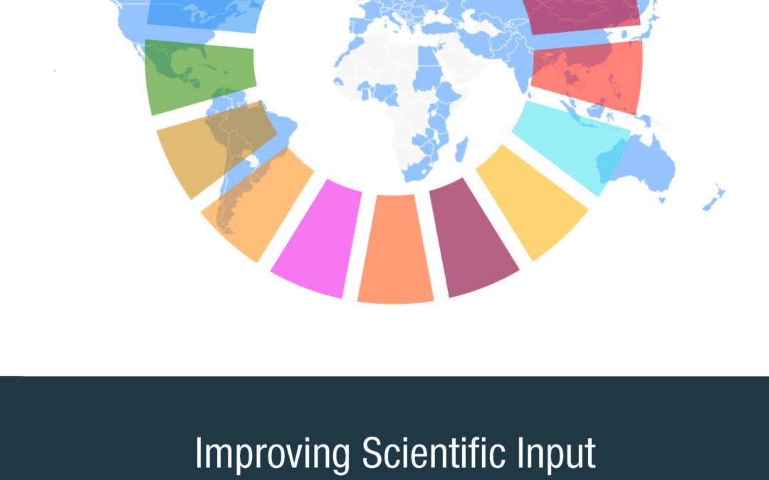 Improving Scientific Input to Global Policymaking with a Focus on the UN Sustainable Development Goals