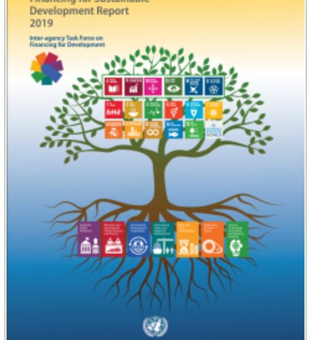 Financing for Sustainable Development Report