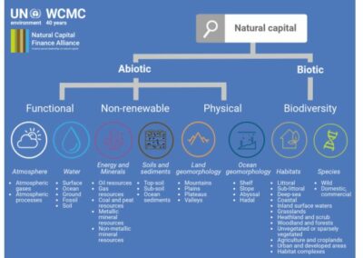 A New Global Language for Natural Resources