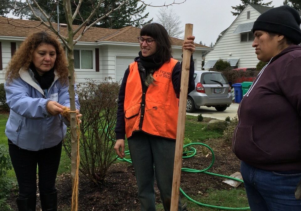 Confluence Environmental Center, AmeriCorps: Tree Equity Coordinator