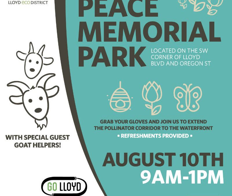 Peace Memorial Park Clean-Up