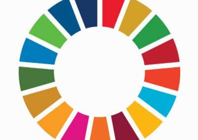 Open SDG Platform