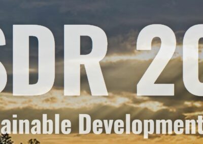 Global Sustainable Development Report 2019