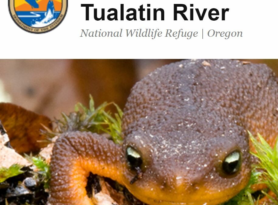 Friends of Tualatin River National Wildlife Refuge Environmental Education Coordinator