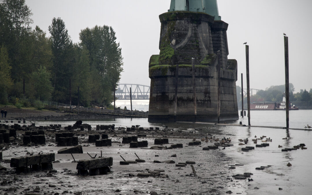 What is the Future of the Portland Harbor?