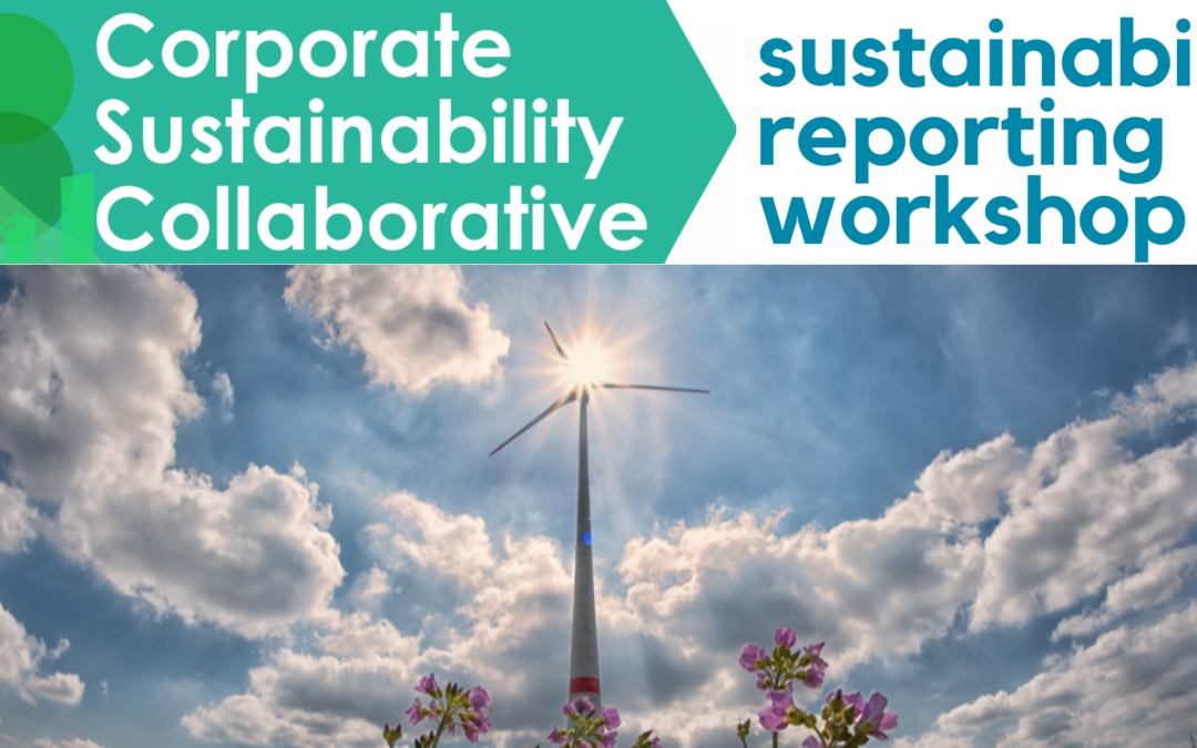 Sustainability Reporting Workshop