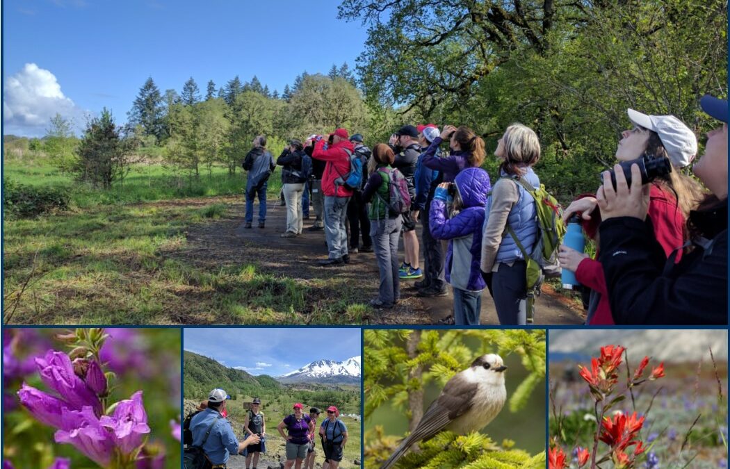 Volcano Naturalist Program