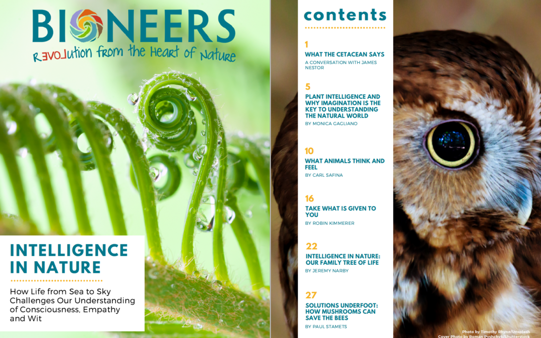 Bioneers Reader: Intelligence in Nature