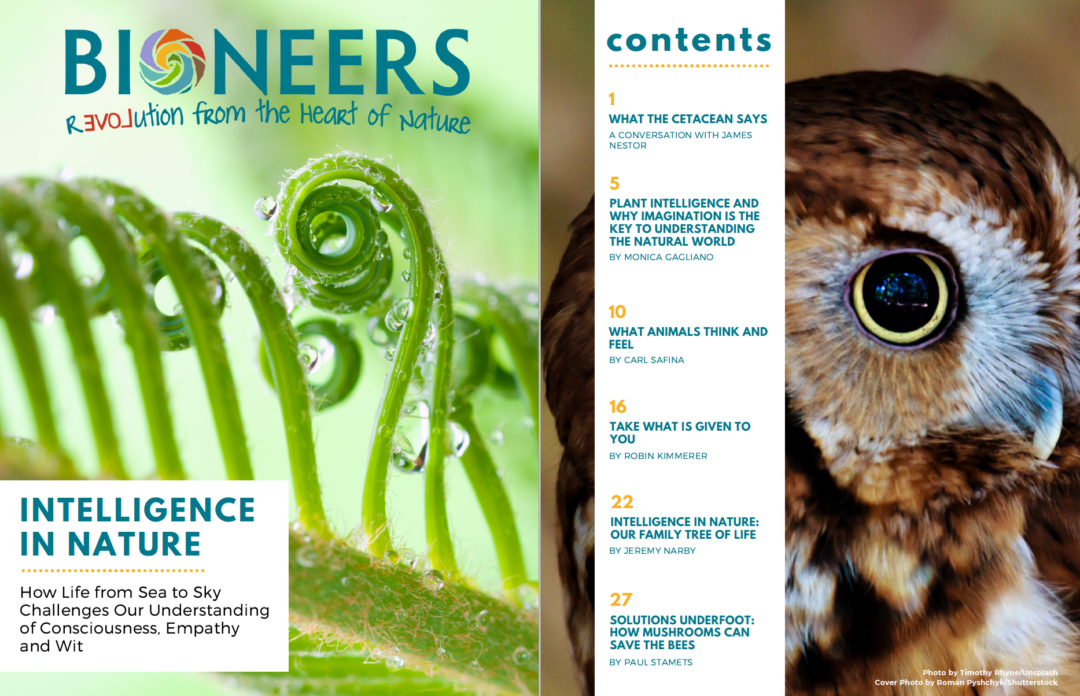 Bioneers Reader: Intelligence in Nature