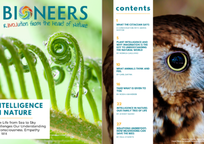 Bioneers Reader: Intelligence in Nature