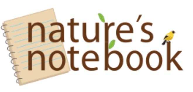 Nature’s Notebook