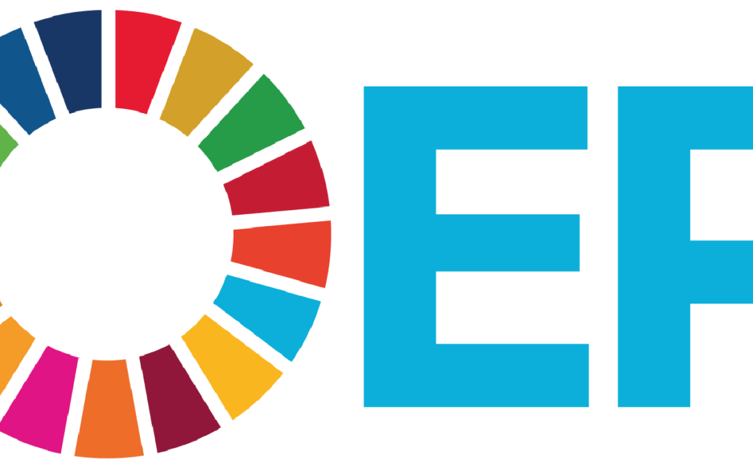 The digital introduction of the SDGs into Higher Education Teaching