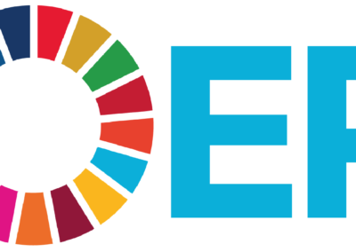 The digital introduction of the SDGs into Higher Education Teaching