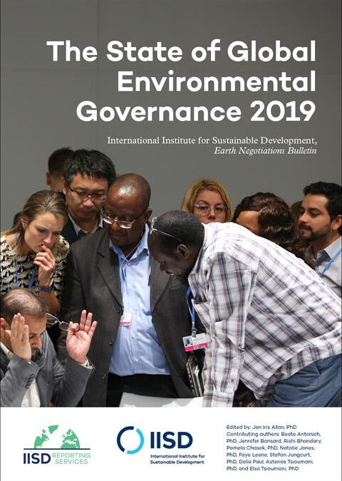 The State of Global Environmental Governance 2019