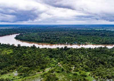 The State of the World’s Forests: Forests, Biodiversity and People