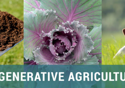 Regenerative Agriculture Collection: Healing Ecosystems and Stabilizing the Climate