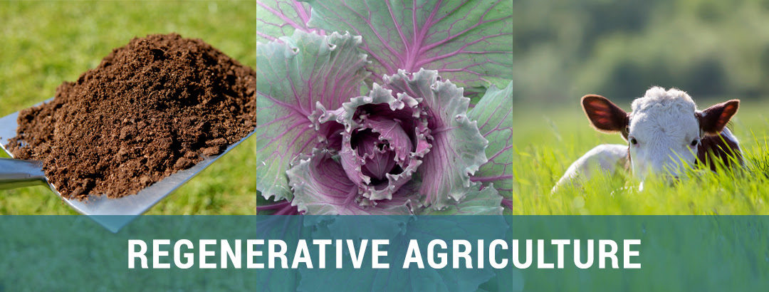 Regenerative Agriculture Collection: Healing Ecosystems and Stabilizing the Climate