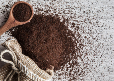 Composting With Coffee Grounds: Good for Plants or Just a Fad?